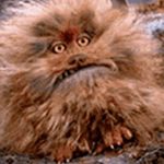 Jonathan Britton - @haha_road6 - Instagram