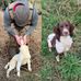 Jonathan Brookes - Facebook