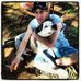 In loving memory of Jonathan WAYNE Brumfield - Facebook