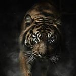 Jonathan Wade Brumfield - @wade22586 - Instagram