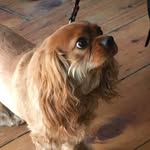 Jonathan Cadet - @jonathanvader - Instagram