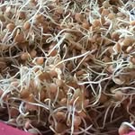 Jonathan cadle - @crispy_krunchy - Instagram