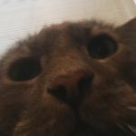 Jonathan cantrellツ - @jonathan_cantrell8 - Instagram