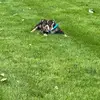 Jonathan Casanova - @jonathan.casanova78 - TikTok
