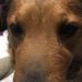 Jonathon Casper - Facebook