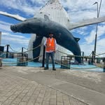 Jonathan Castrillon - @castrillon6745 - Instagram