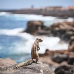Jonathan Cataldi - @1thropocene - Instagram