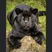 Jonathan Champagne - Facebook