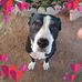 Jonathan Chaney - Facebook