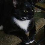 Jonathan Chatman - @chatman.jonathan - Instagram