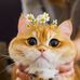 Jonathan Chaves - Facebook