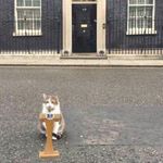 Jonathan Clegg - @ghosty__b - Instagram