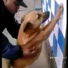 jonathanramonclem - @jonathanramonclem - TikTok
