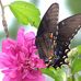 Jonathan Clouse - Facebook