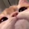Jonathan - @jonathanco_o - TikTok