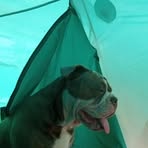 Johnathan Coe - Facebook