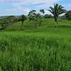 Jonathan cordon - @jonathan.vasquez4480 - TikTok