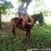 Jonathan Coronel - Facebook