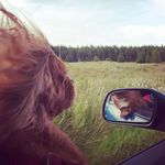 Jonathan Corry - @johnny_g60 - Instagram