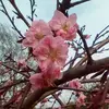 Jonathan Cowen - @2170783745 - TikTok