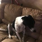 Jonathan Crain - @jon_galt420 - Instagram