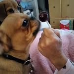 Jonathan Crain - @jonathancrain5 - Instagram