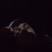 Jonathan Crossland - Facebook