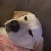 jonathancrouch93 - @jonathancrouch9327 - TikTok