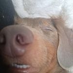 JonathanDaughtry - @jonathandaughtry8 - Instagram