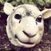 Jonathan Dever - Facebook