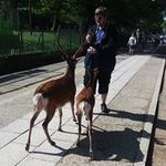 Jonathan Devlin - @thejondevlin - Instagram