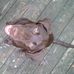 Jonathan Devries - Facebook