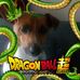 Jonathan Di-Giovanni - Facebook