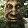 Johnathan Dingle - @johnathandingle1213 - TikTok