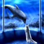 @jonathandolphin - Instagram