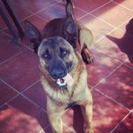 Jonathan Domenech Moreno - @jimmy33013 - Instagram