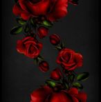 Jonathan Doolittle - Facebook