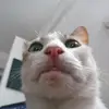 Jonathan Dorman - @jonathandorman0 - TikTok
