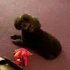Jonathan Drum - @jonathan.drum - TikTok