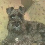 Jonathan Dunn - @jonathan.dunn.3939 - Instagram