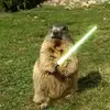 Jonathan Dwight - @jonathandwight_1670 - TikTok