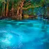 Jonathan Eckard - @jonathan.eckard - TikTok