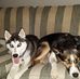 Jonathan Eckert - Facebook