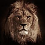 Jonathan👑⚡️ - @jonathan_edmondson18 - Instagram