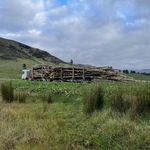 Jonathan Edmonds - @edmonds.jonathan - Instagram