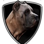 Jonathan Escobar - @valhallacorsos_okc - Instagram