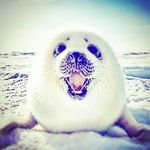JONATHAN EZRA - @jonathanezra3013 - Instagram