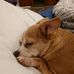 Jonathan Farist - Facebook