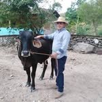 Jonathan Ferman - @ferman_jonathan - Instagram