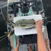fishedbyjonathan - @fishedbyjonathan - TikTok